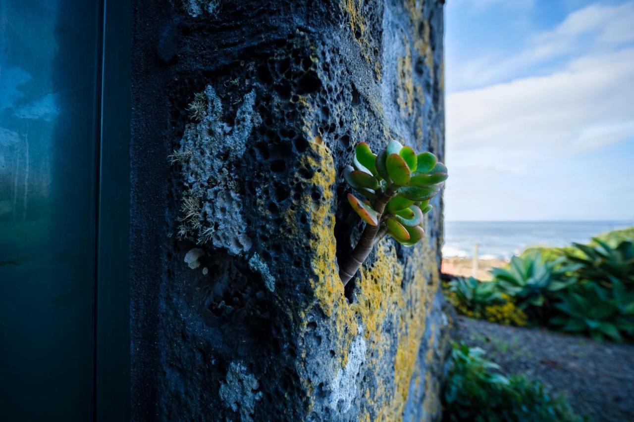 Stone Home Casa Do Caisinho Pico Island Terra Alta Extérieur photo