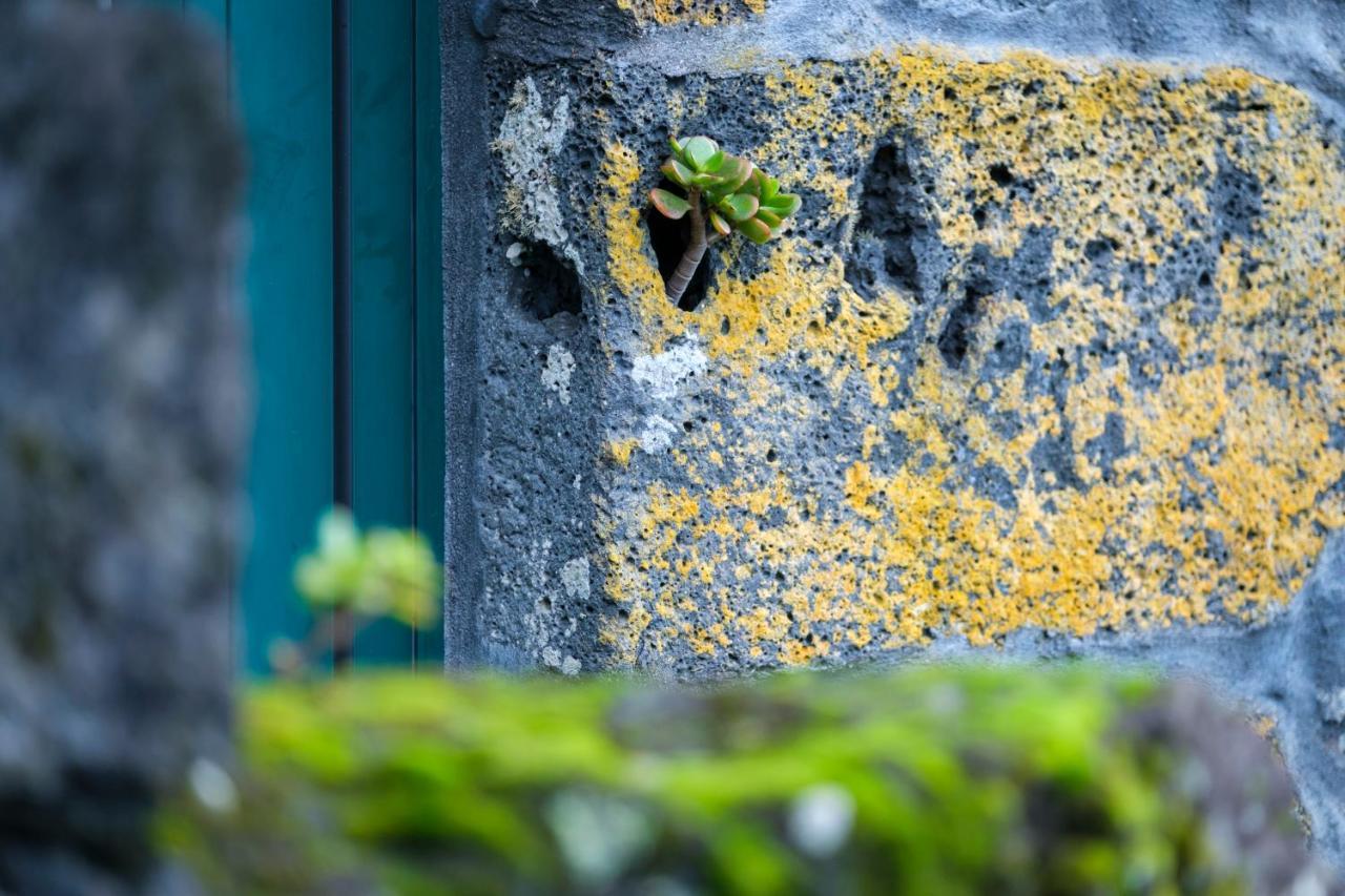 Stone Home Casa Do Caisinho Pico Island Terra Alta Extérieur photo