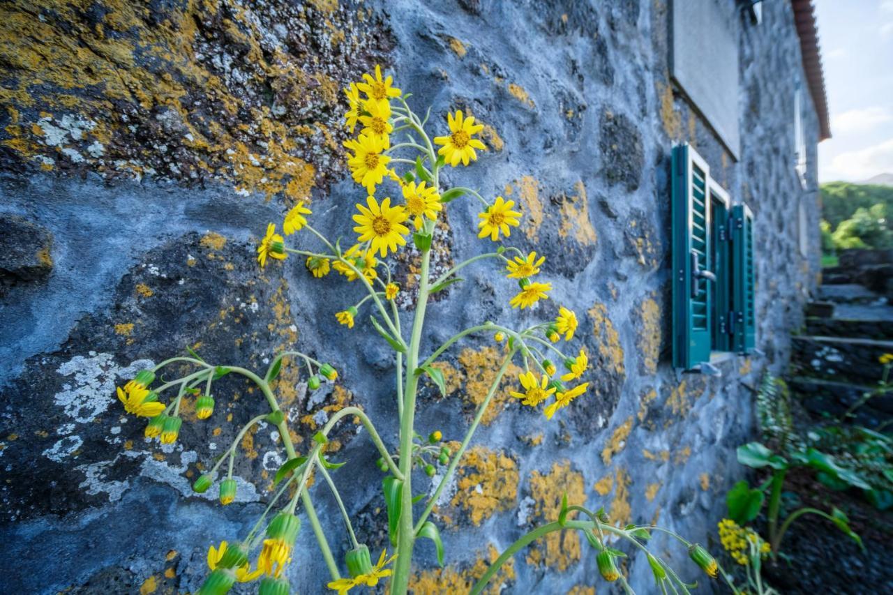 Stone Home Casa Do Caisinho Pico Island Terra Alta Extérieur photo